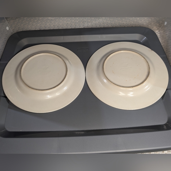 Pfaltzgraff vintage USA ceramic‎ Blueberries  handpainted 2 8.5" salad plates - Picture 4 of 5